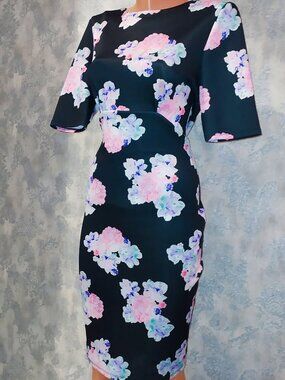Dorothy Perkins UK Floral dress, size 6 US